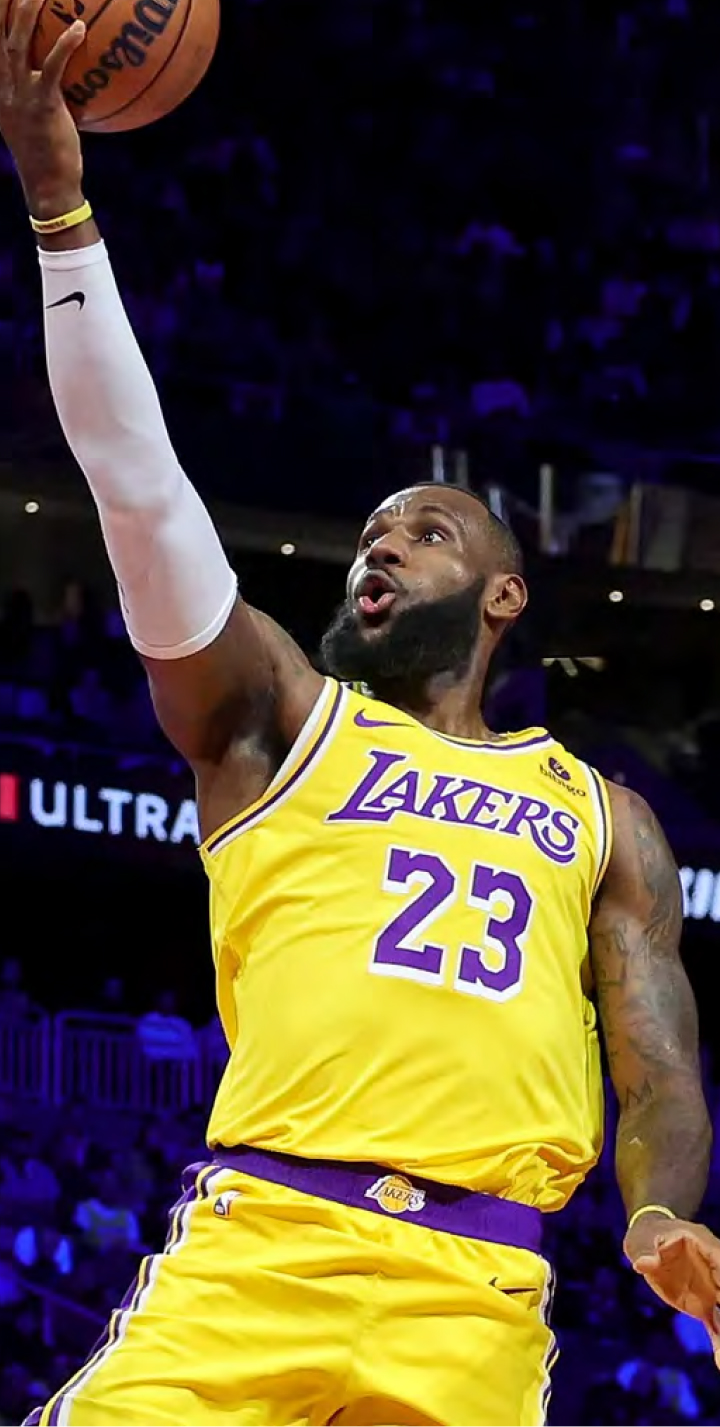 LeBron James Lakers | TWG Global | TWG Sports Holding company